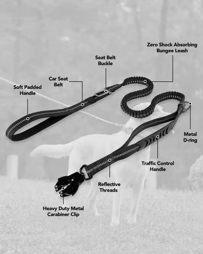 Laisse pour chien robuste avec élastique