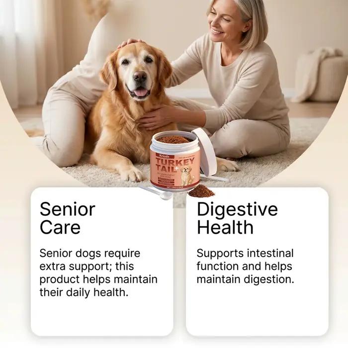 Poudre de complément nutritionnel pour chiens : Améliore la vitalité de l'animal