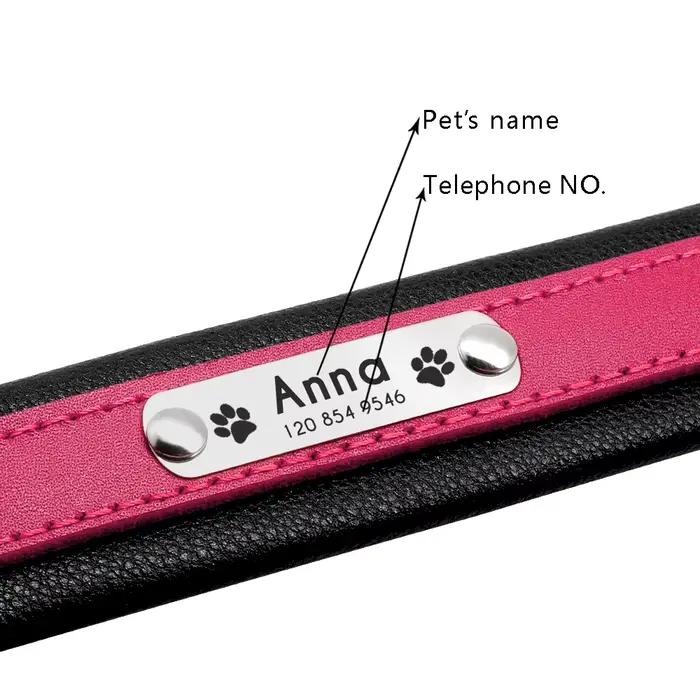Collier de chien en cuir