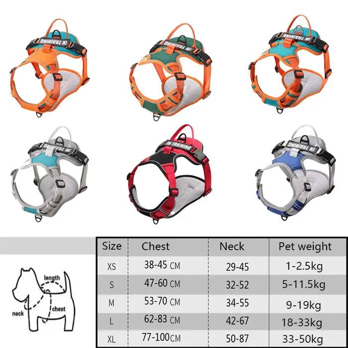 Harnais Anti-perte personnalisable pour chien