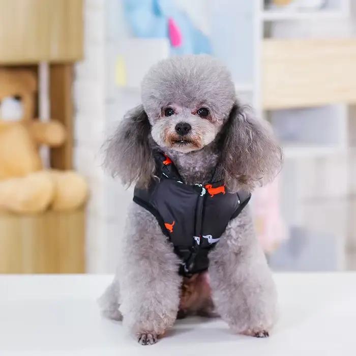 Chien de compagnie hiver manteau doux petit chien vêtements chaud chien veste chiot tenue chien manteau Chihuahua vêtements chiot vêtements