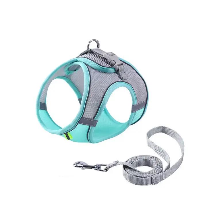 Harnais pour chien avec laisse