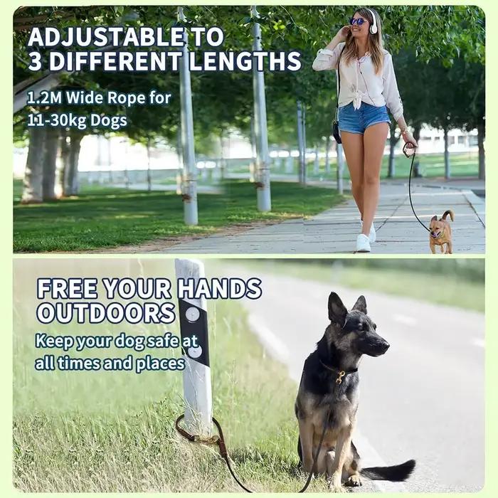 Laisse pour chien multifonctionnelle