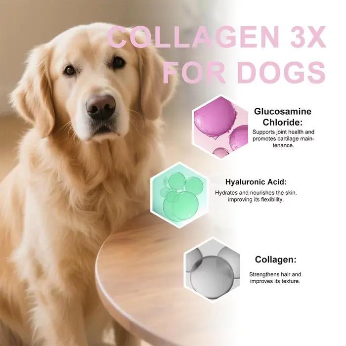 NOUVELLES gouttes de collagène pour hot dog