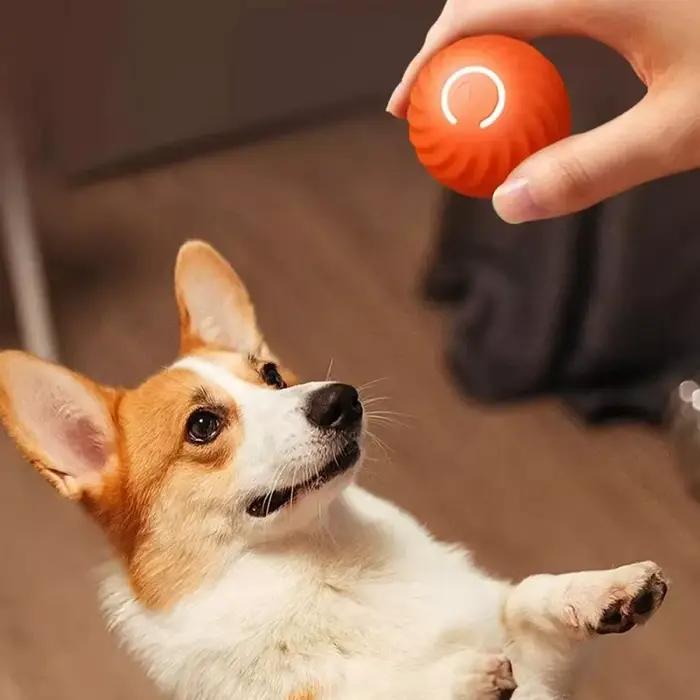 Balle roulante rebondisnoyaux à mouvement automatique pour chien