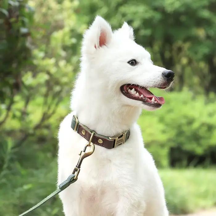Laisse pour chien en cuir PU