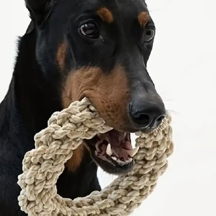Jouet en corde pour chien