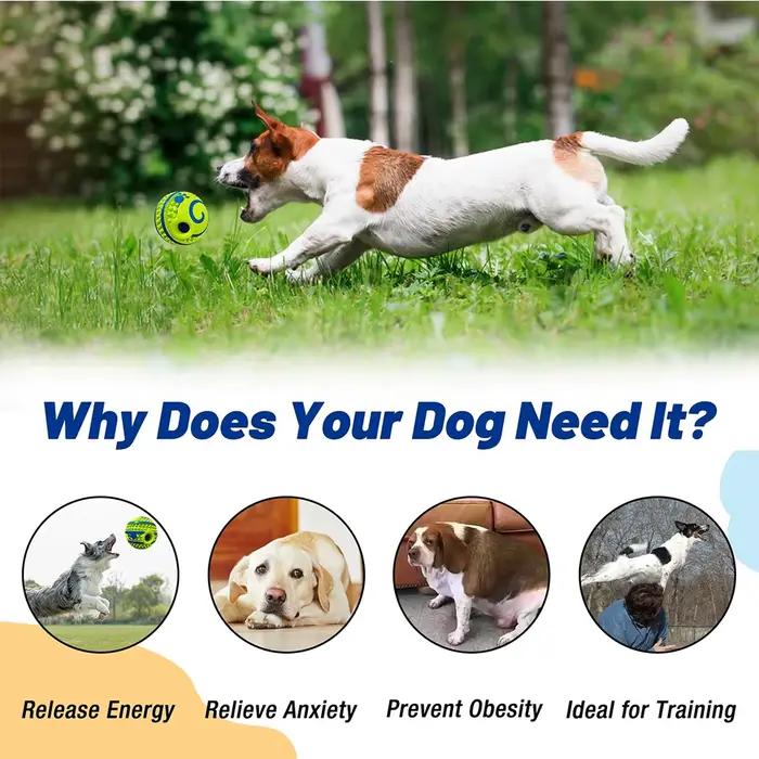 Balle Wobble Wag Giggle pour Chiens - Jouet à Mâcher Crépitant avec Picots et Son Rire