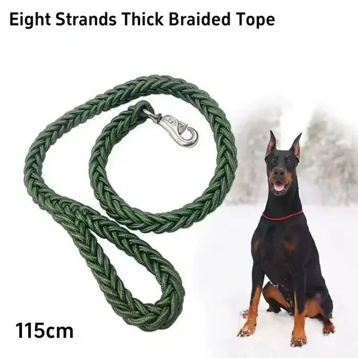 Laisse pour chien pour un entraînement efficace et des promenades confortables