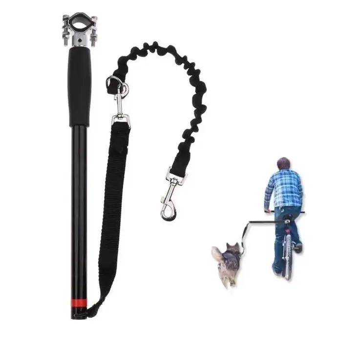 Laisse pour chien, laisse d'entraînement pour chien