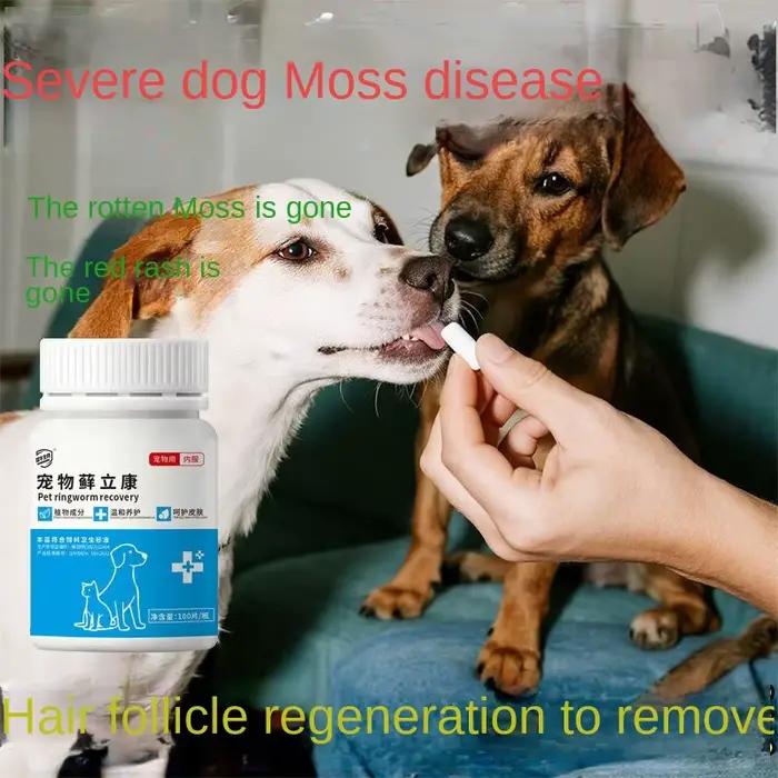 Dermatite pour animaux de compagnie