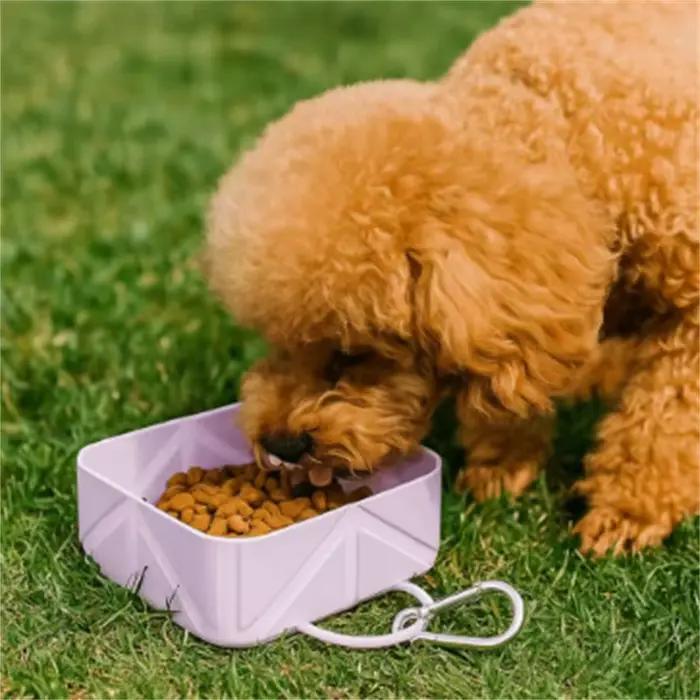 Bol pliable pour chien