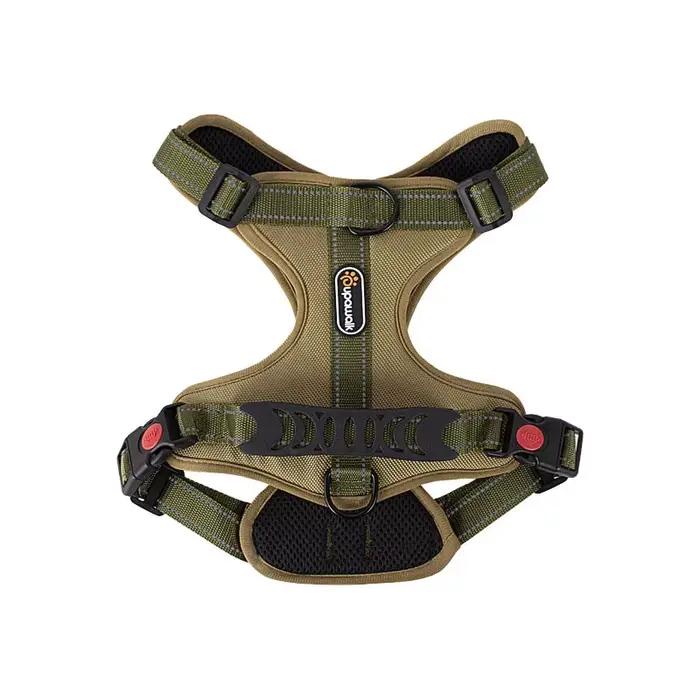 DobSuffolk-Collier de marche Pinscher SFP pour animaux de compagnie