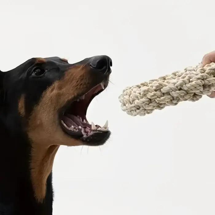 Jouet en corde pour chien