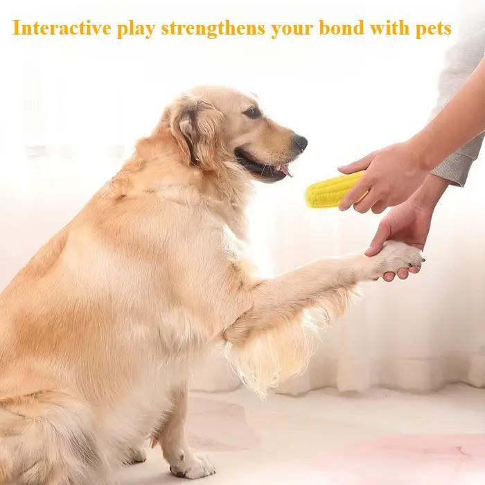 Jouets pour animaux de compagnie