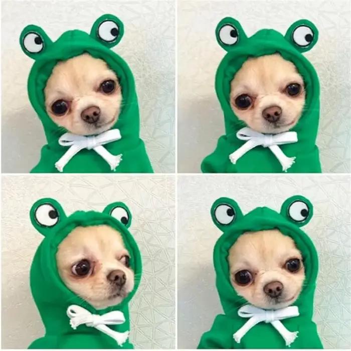 Sweat à capuche pour animaux de compagnie