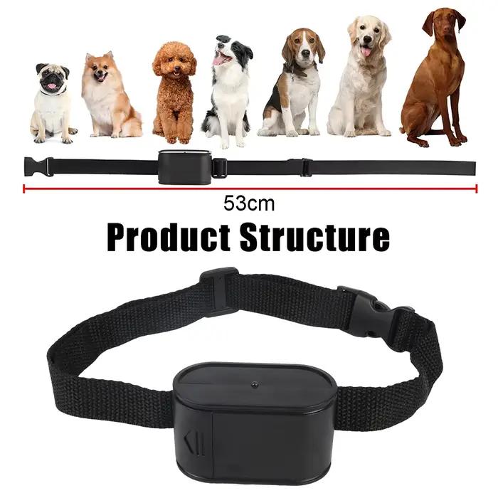 Collier électrique étanche pour chien