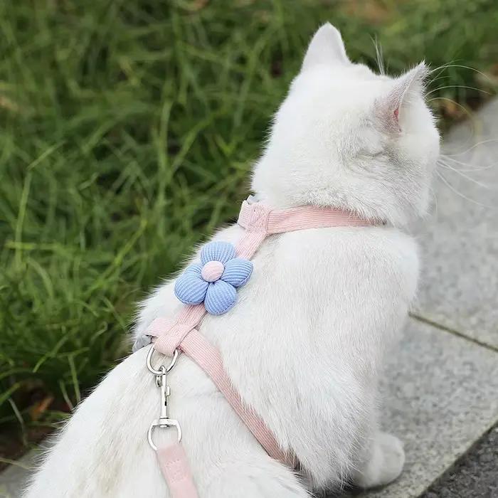 Ensembles de harnais et de laisse pour chat