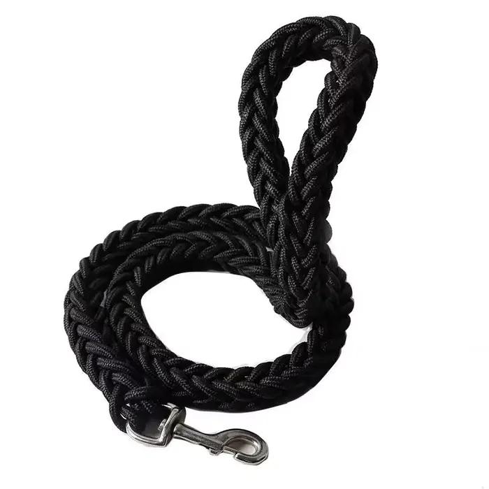 Laisse pour chien pour un entraînement efficace et des promenades confortables