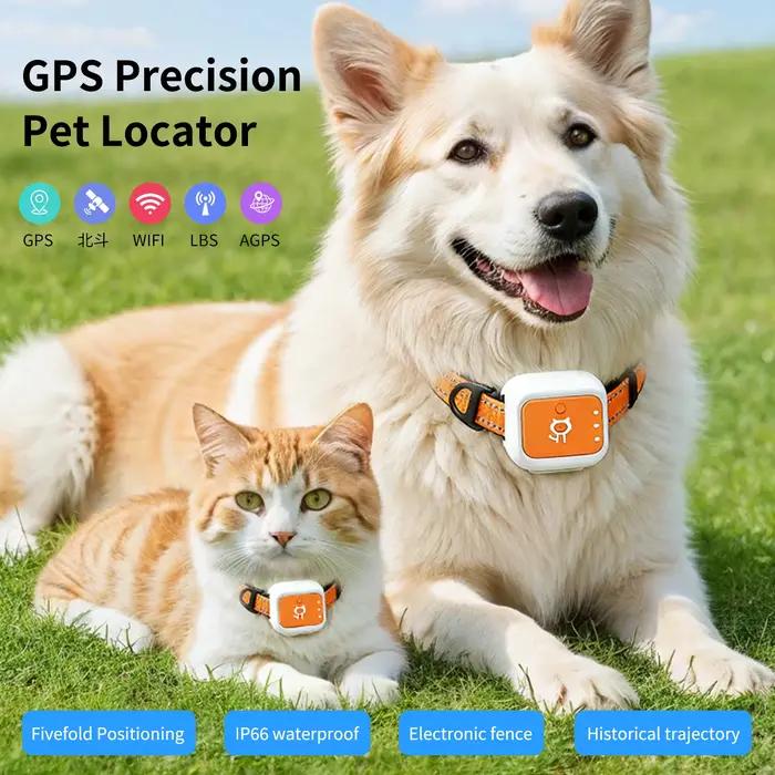 Collier GPS 4G pour chiens et chats
