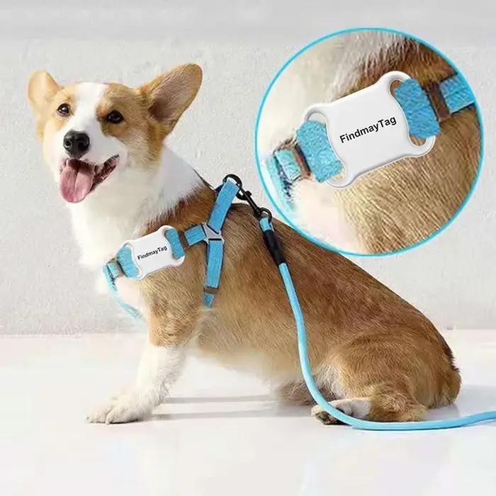 Collier de suivi GPS étanche pour animaux de compagnie