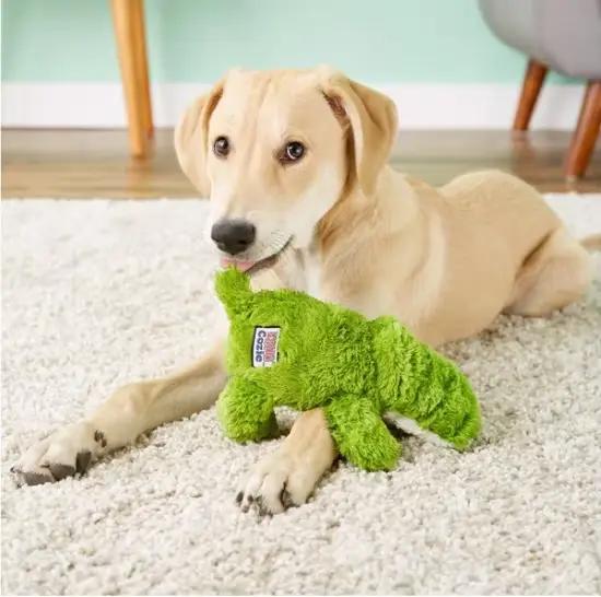 KONG Cozie Ali l'alligator et le jouet drôle pour chien singe