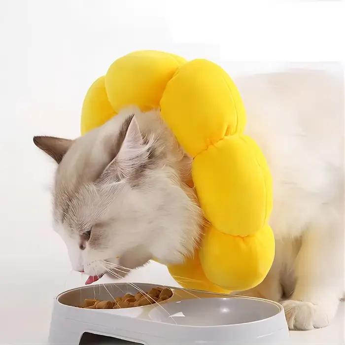 Collier réglable pour animaux de compagnie