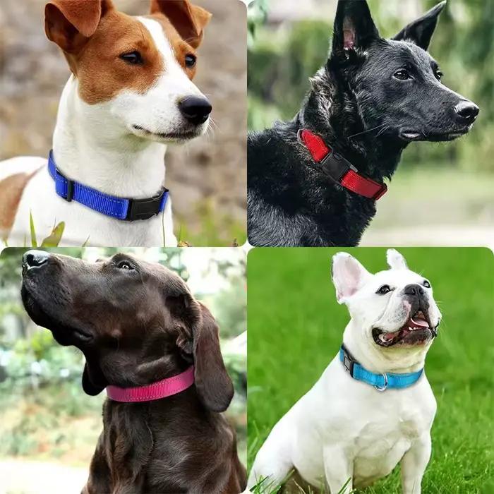 Collier réfléchissant pour chiens de taille moyenne et grande