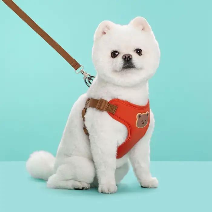 Harnais et laisse créatifs et mignons pour animaux de compagnie