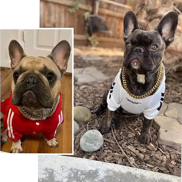 Collier de chaîne pour chien noir or 10MM lien cubain