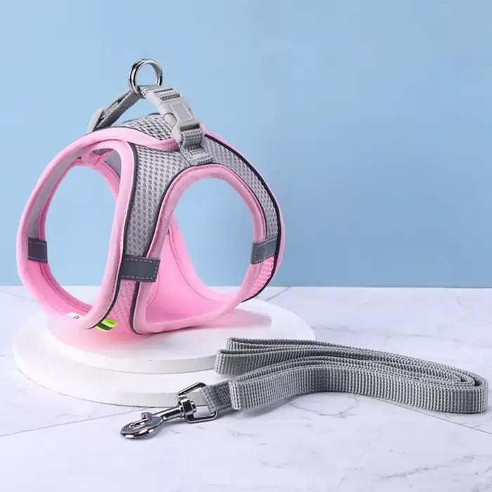 Harnais pour chien avec laisse
