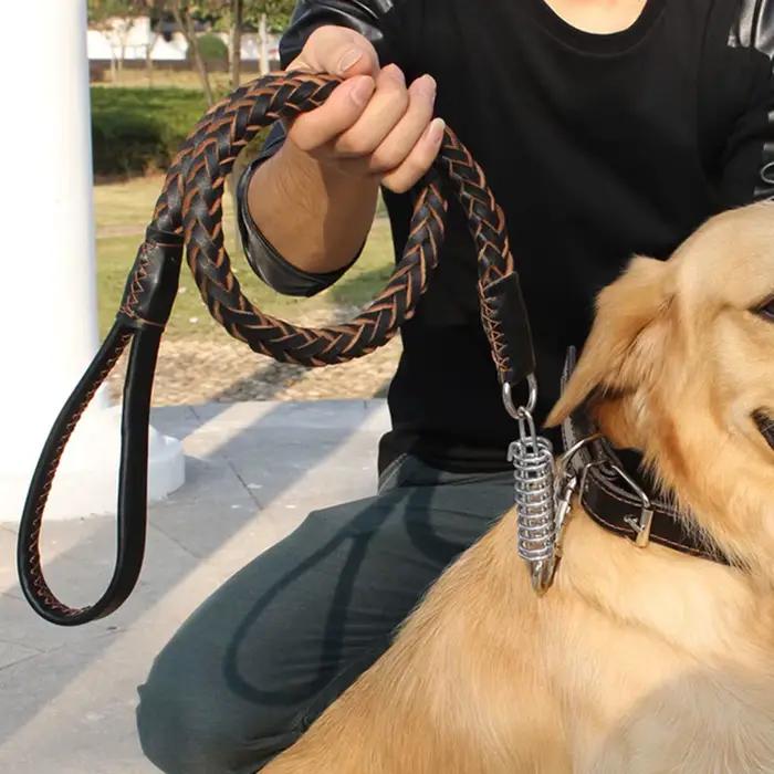 Laisse pour chien grande et robuste