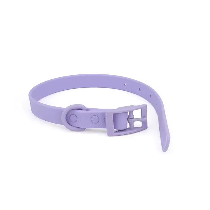 Collier pour chien XS/S/M/L/XL