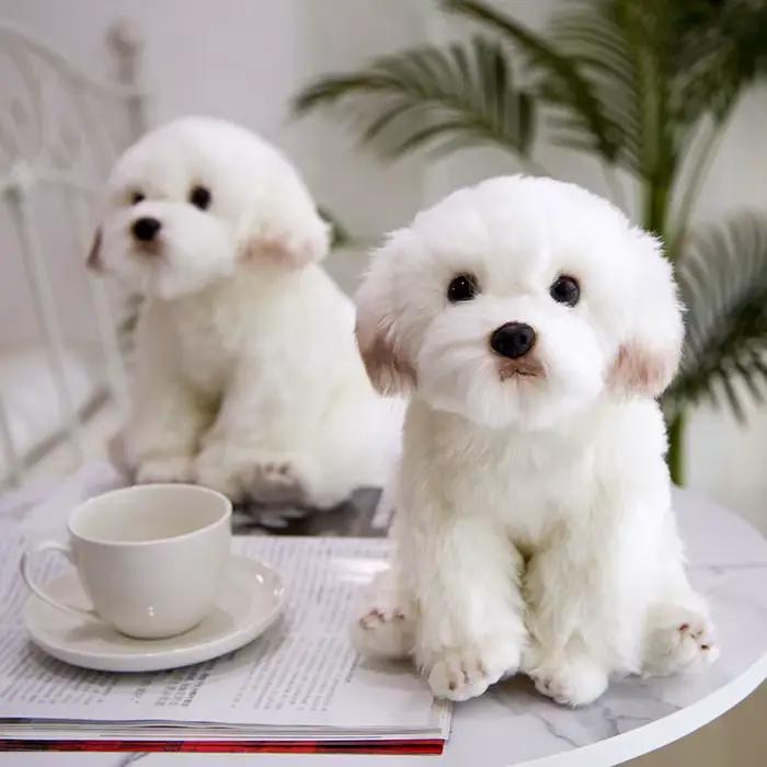 Jouet en peluche chien maltais réaliste de haute qualité, Animal de dessin animé doux, poupée en peluche, décoration de la maison, cadeau d'anniversaire