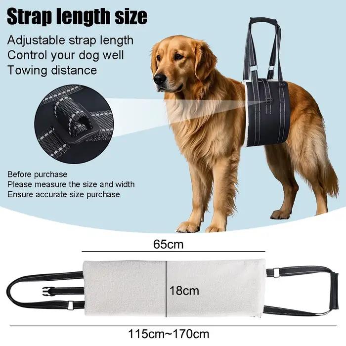 Artificiel évateur réglable SFP pour chien