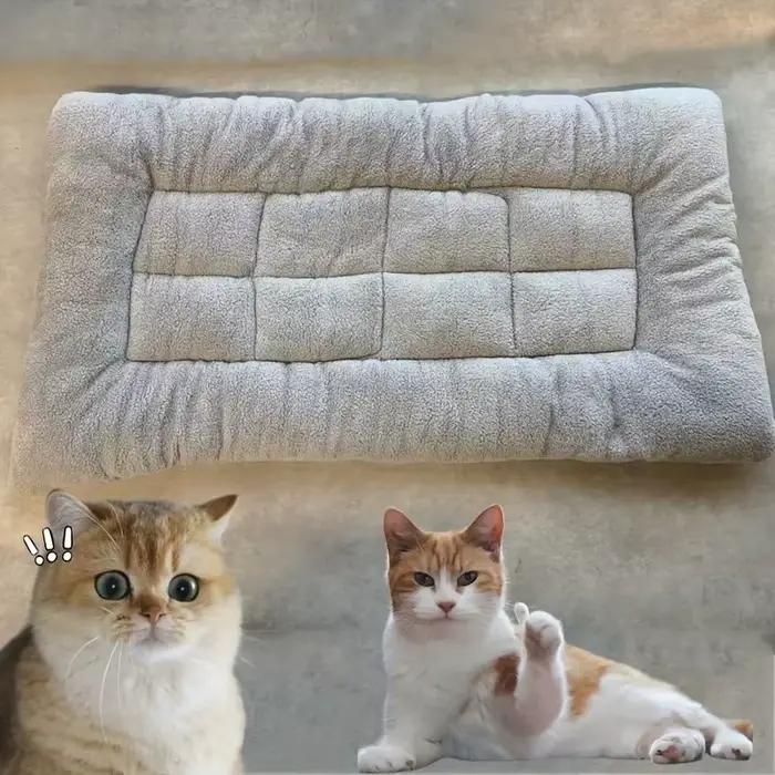 Grand lit en peluche pour chien