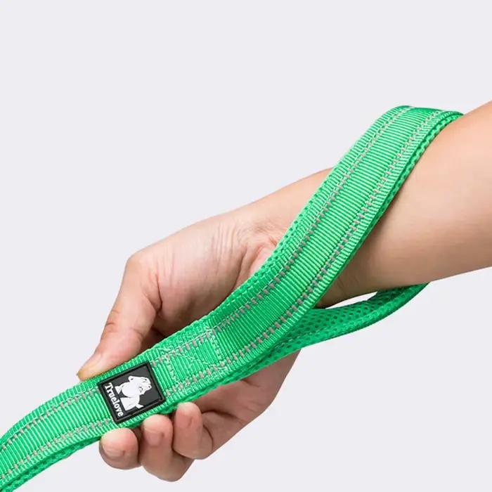 Winhyepet laisse pour chien en nylon avec poignée rembourrée confortable