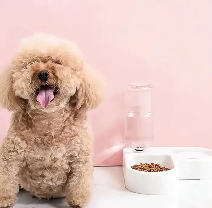 Bol double pour chien et chat - Ensemble de bols pour animaux de compagnie et pour la nourriture