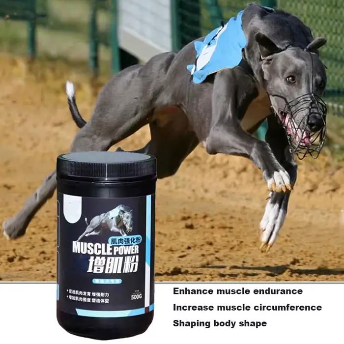 Poudre Protéinée Professionnelle pour Chiens : Renforce les Muscles