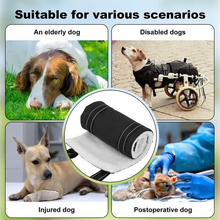 Artificiel évateur réglable SFP pour chien