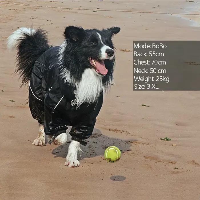 Manteau pour chien, veste d'extérieur