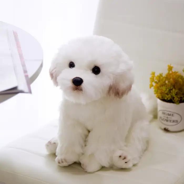 Jouet en peluche chien maltais réaliste de haute qualité, Animal de dessin animé doux, poupée en peluche, décoration de la maison, cadeau d'anniversaire
