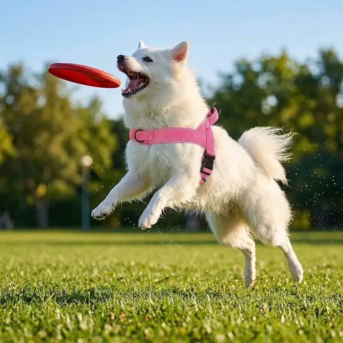 Harnais tactique anti-traction pour chien de grande race : Gilet robuste avec bande réfléchissante
