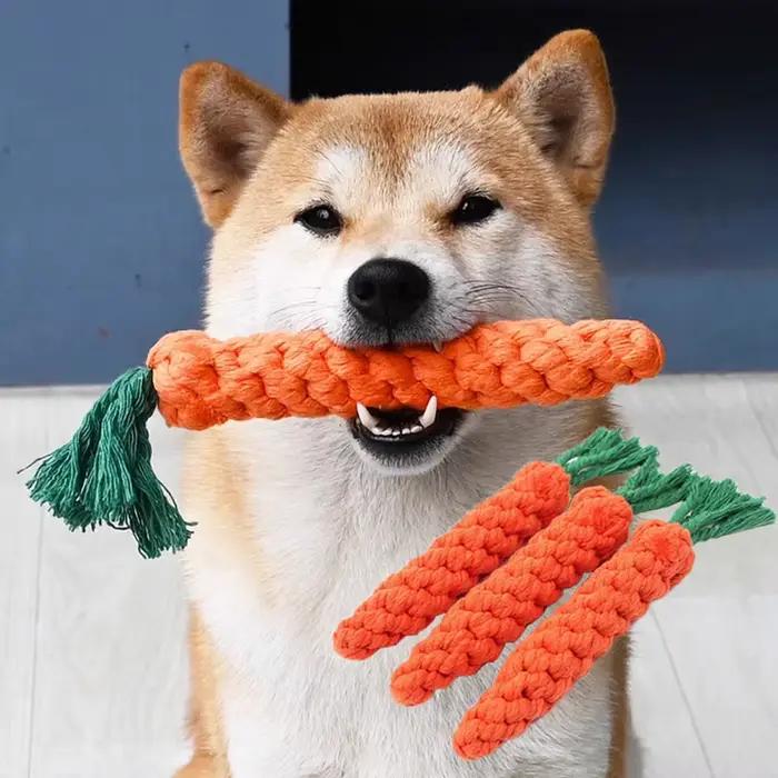 1 pièces carotte chien morsure corde