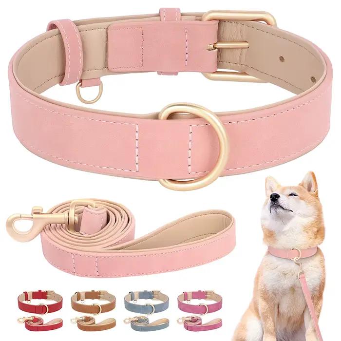 Ensemble de laisse de collier de chien rembourré doux