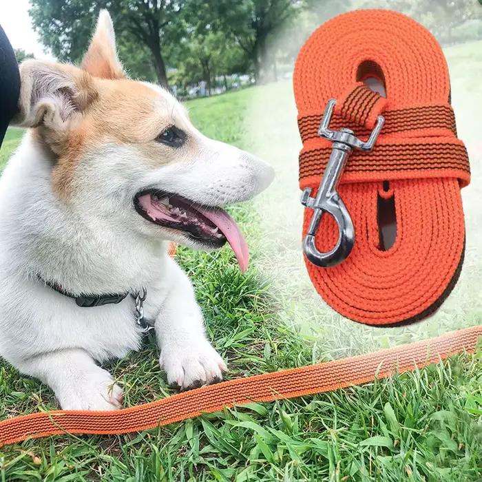 Laisse pour chien de 5m