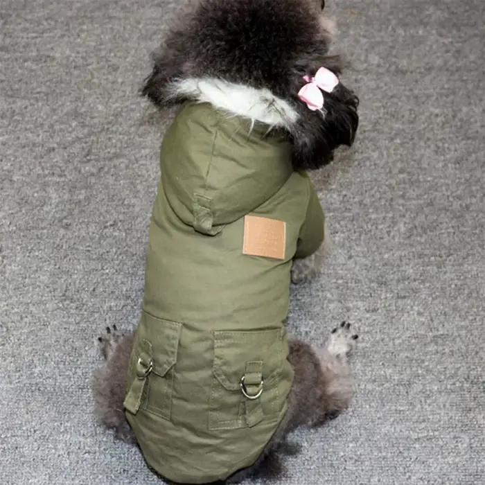 Manteau d'hiver pour chiot