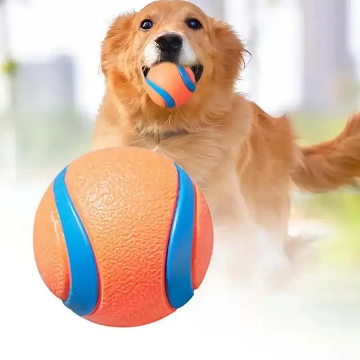 Balle de jouet pour chien