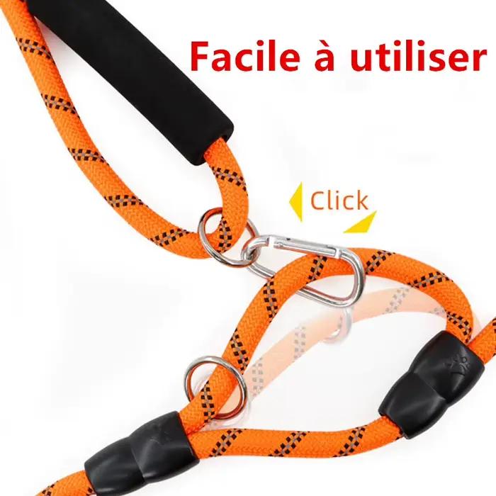Laisse pour chien mains libres