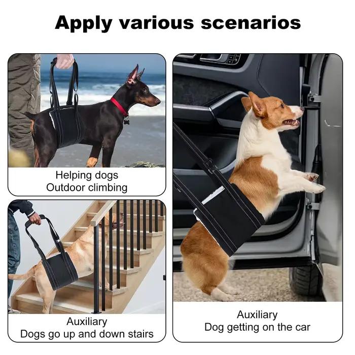 Artificiel évateur réglable SFP pour chien